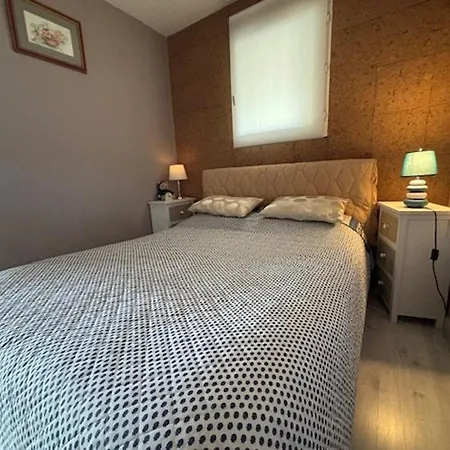 2 Pieces A Royan Avec Terrasse Et Parking Pres De La - Fr-1-494-218 Lägenhet *