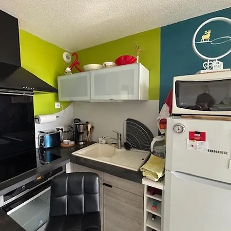 Lägenhet 2 Pieces A Avec Terrasse Et Parking Pres De La - Fr-1-494-218 *